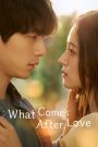 What Comes After Love (2024)